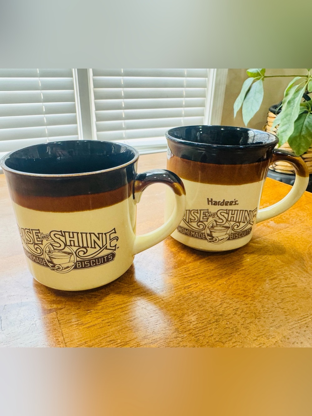 Vintage 1980’s Hardees Rise and Shine coffee mugs restaurant retro brown